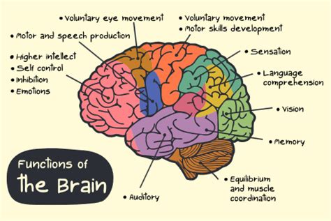 MS and cognition Archives - MS ConversationsMS Conversations