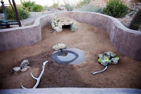 Desert Tortoise Habitat! My kids need a place like this, and by kids I ...