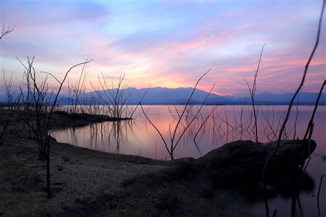 Sunset silhouette tree on the lake 10448489 Stock Photo at Vecteezy