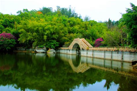 Wanshi Botanical Garden, xiamen, China - Top Attractions, Things to Do ...