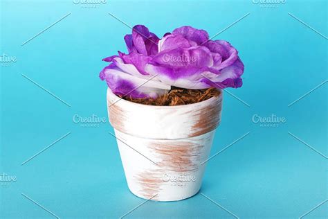 Two flower pots as decoration on blue background. #Sponsored , #affiliate, #pots#flower# ...