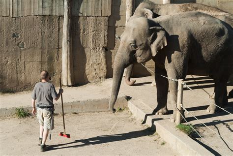 Zookeeper - Salary, How to Become, Job Description & Best Schools