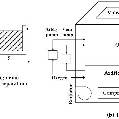 Two HMP frameworks. (a) In the classical HMP framework, the organ is... | Download Scientific ...