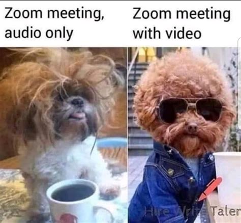 Zoom Meetings : r/memes