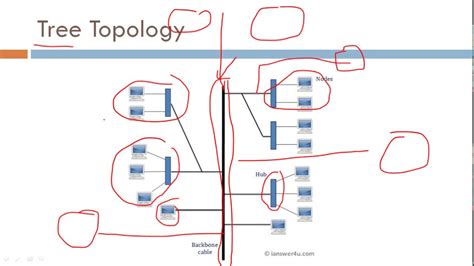 Tree Topology : Advantages and Disadvantages - YouTube