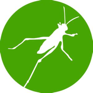 Introduction to Grasshopper - Medium