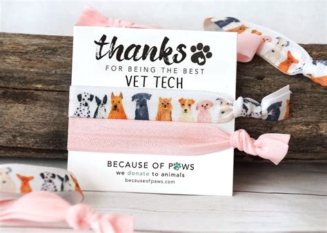 Vet Tech Thank You Gift| Hair Tie Greeting Card Vet Office Gifts Under ...