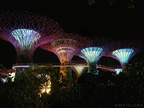 Singapore Rules & Tips | Thoughts On Risks & Rebellion - AM Journeys