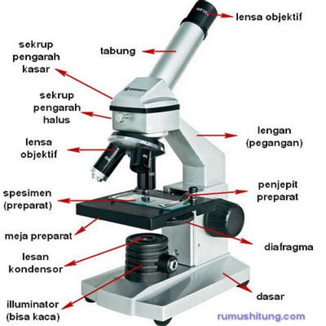 Mikroskop Steckbrief