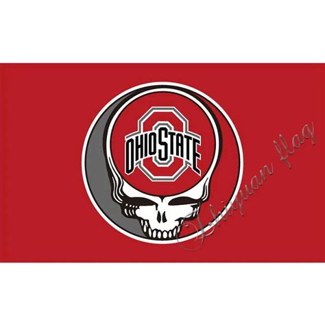 Ohio State Buckeyes Flag 3x5 FT 150X90CM Banner 100D Polyester flag-in Flags, Banners ...