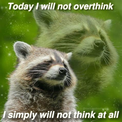 “Nocturnal Trash Posts”: 30 Of The Best Raccoon Memes This Dedicated ...