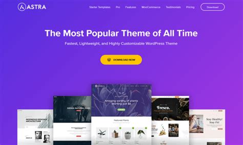 The Ultimate List of Wordpress Themes - Page Design Web