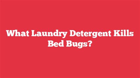 What Laundry Detergent Kills Bed Bugs? - Laundry FAQs