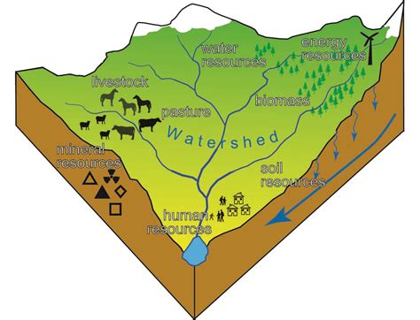 What is a watershed? • Learning Content • Department of Earth Sciences