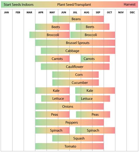 Zone 8b Gardening Calendar - Diy Projects