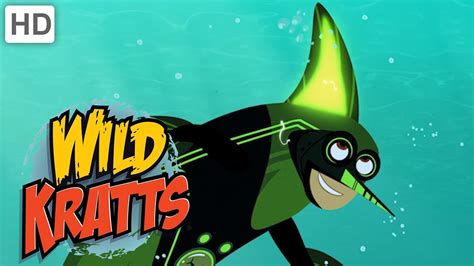 Wild Kratts 🐬🦈🐙 Creature Powers in the Ocean! | Kids Videos - YouTube