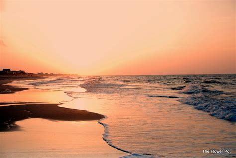 The Flower Pot: Sunrise on St. George Island