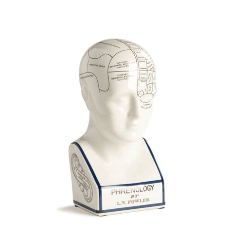 Phrenology Head - Curiosa Cabinet