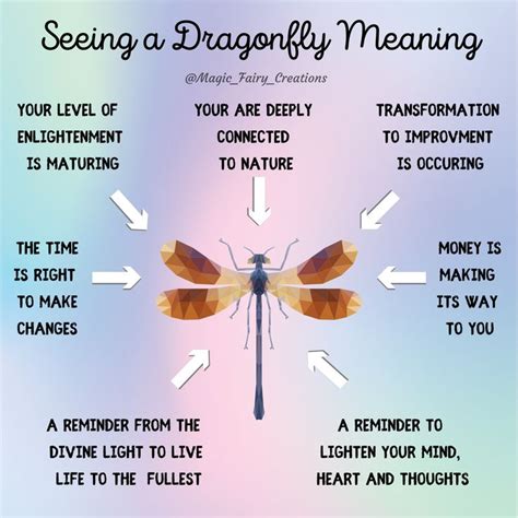 a dragonfly sitting on top of a blue and pink background with the words ...