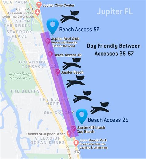 Dog Friendly Beaches in Jupiter Florida - Tequesta Vet Clinic