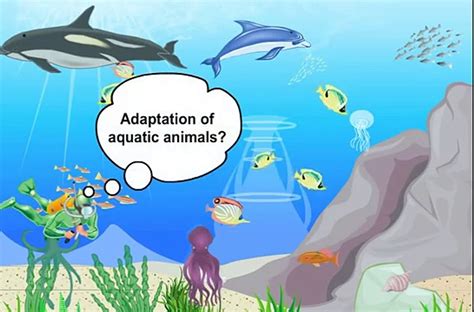 Top 195+ How do sea animals adapt to their environment ...