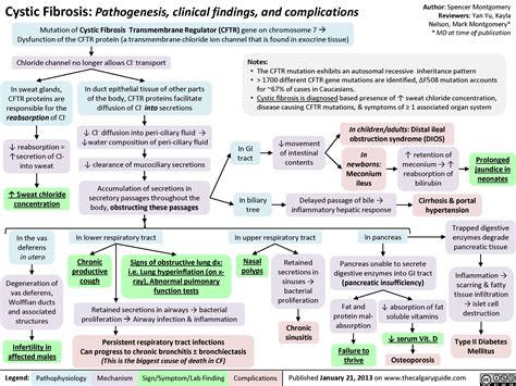 Cystic Fibrosis: Pathogenesis, clinical findings, and complications ...