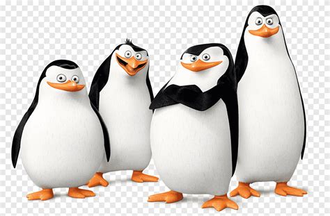 Kowalski Skipper Penguin Madagascar Film, pinguin, animals, bird png | PNGEgg