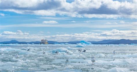 Visit the Most Impressive Glaciers of the Chilean Patagonia — SEVENSEAS Media