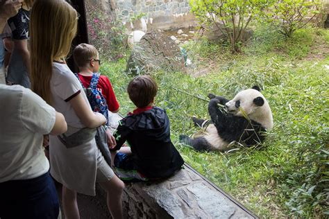 Quoi faire à Washington avec des enfants ? - Washington En Français