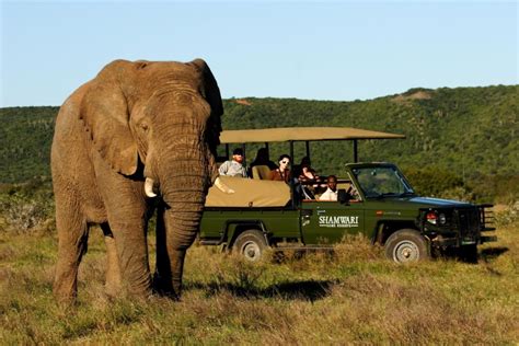 The Shamwari Game Reserve of the Eastern Cape, South Africa is one of the largest game reserves ...