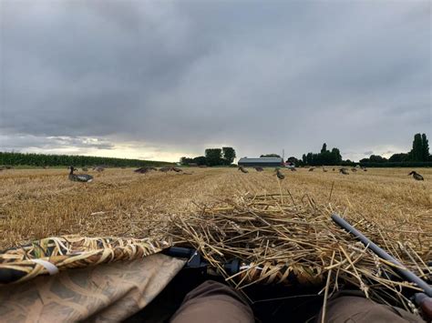 Layout blind wetland camouflage - Lokganzen -goosehunting