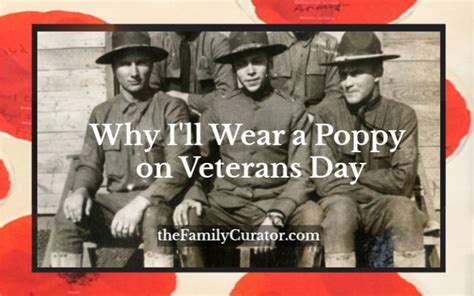 Why I'll Wear a Poppy on Veterans Day - The Family Curator