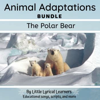 Animal Adaptations: The Polar Bear BUNDLE in 2021 | Animal adaptations ...