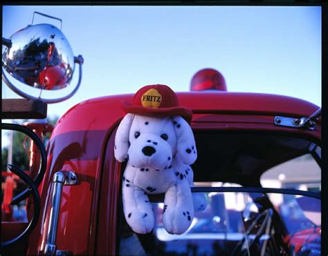 a stuffed dog that is sitting in the back of a fire truck with a hat on