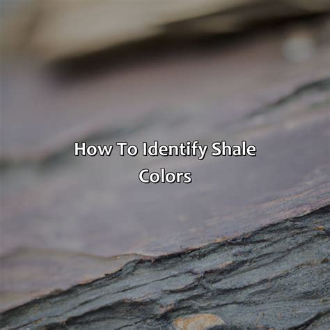 What Color Is Shale - Branding Mates