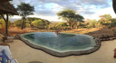 Sarara camp | Samburu National Reserve | Kenya Wildlife Safaris Tours