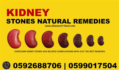 Natural Herbal Supplement For Kidney Stones - Other Products