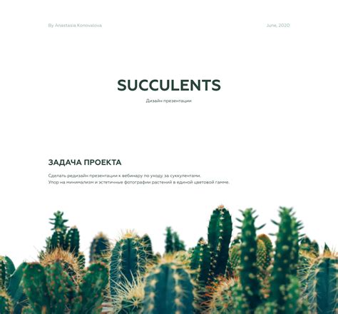 Succulents. Design presentation on Behance