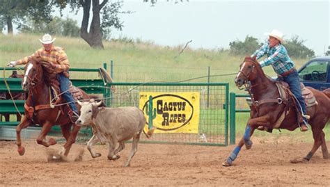 How to Reach in Team Roping