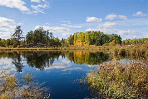 McCain Foundation | Ducks Unlimited Canada