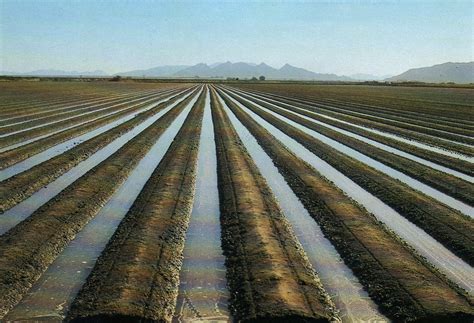 Flood and furrow irrigation | world agriculture