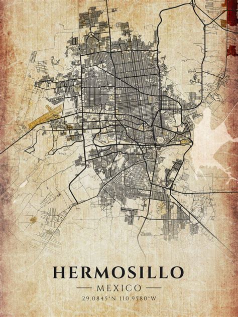 Hermosillo Vintage Map Poster - Winter Museo