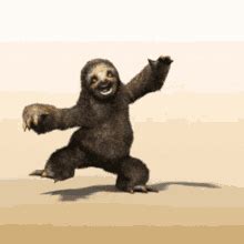 Sloth Dance GIFs | Tenor