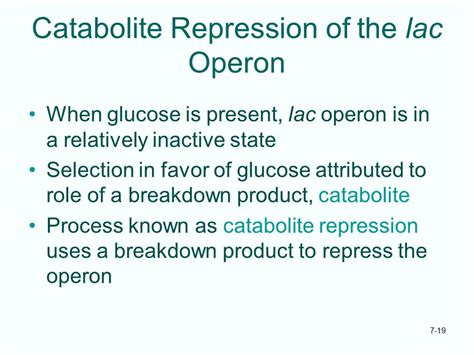 Lecture 12 Chapter 7 Operons: Fine Control of Bacterial Transcription ...