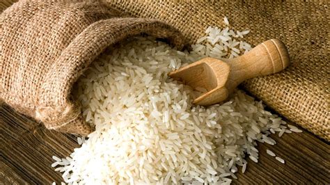 Rice Wallpapers - Top Free Rice Backgrounds - WallpaperAccess