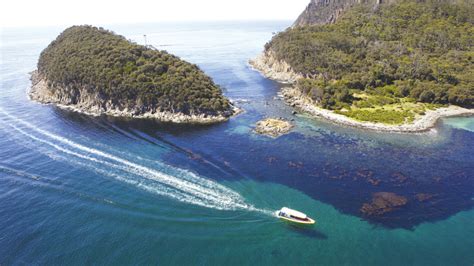 Bruny Island Coastal Wilderness Tour - Full Day