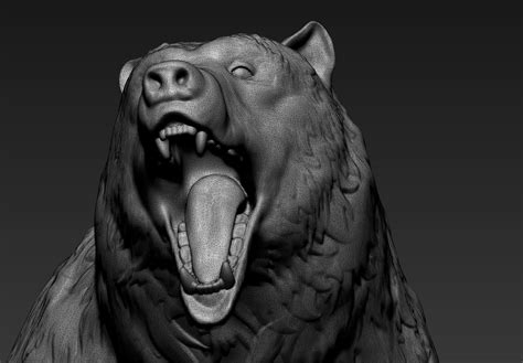 Zbrush Bear 3D model | CGTrader