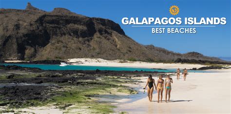 TOP 8: Best Galapagos beaches | Galapagos with ChokoTrip