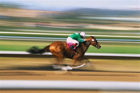 How Fast Do Racehorses Run? : Bet4bettor Horse Racing Advice