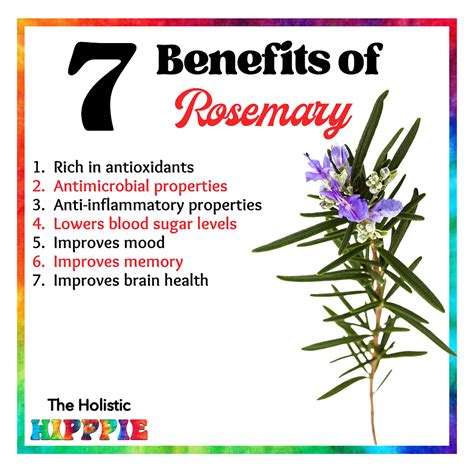 Benefits Of Rosemary